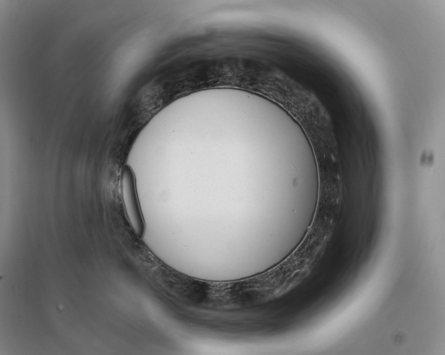 X0000096720766200802261654