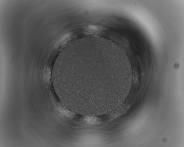 X0000096720767200802261654