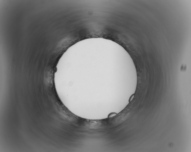 X0000096720768200802261654