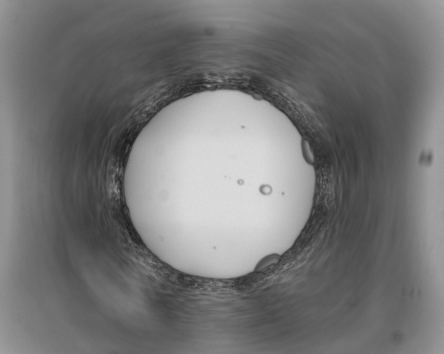 X0000096720770200802261653