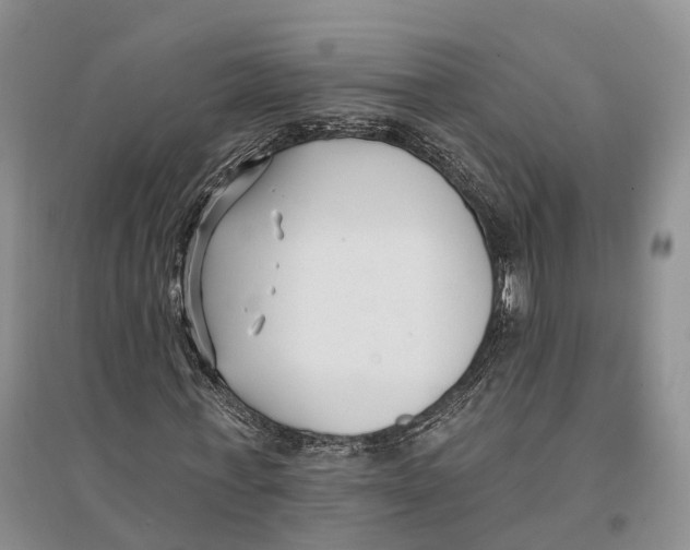 X0000096720771200802261653