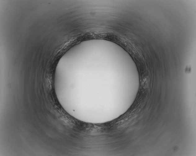 X0000096720772200802261653