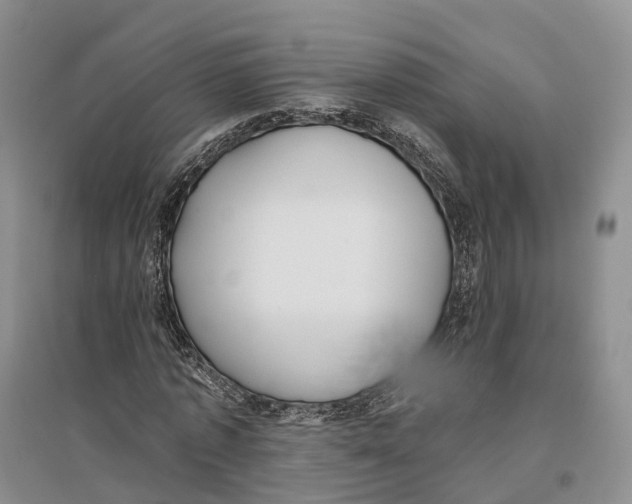 X0000096720773200802261653