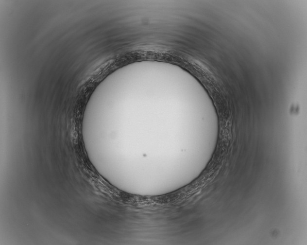 X0000096720774200802261653