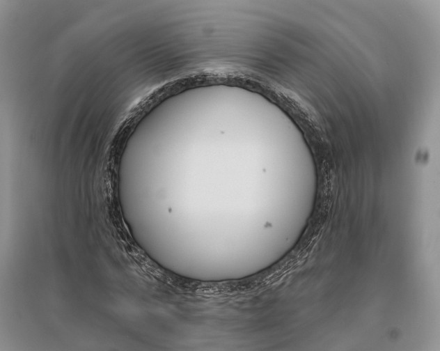 X0000096720776200802261653