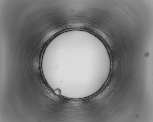 X0000096720778200802261653