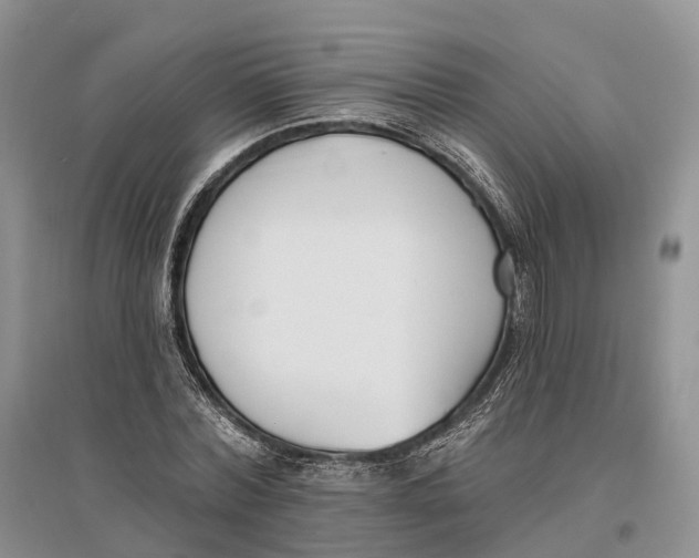 X0000096720780200802261653