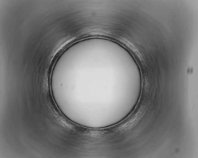 X0000096720782200802261653