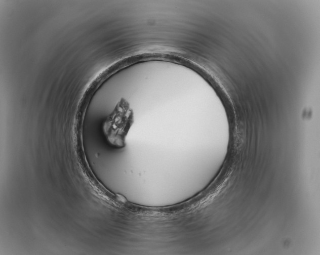 X0000096720783200802261653