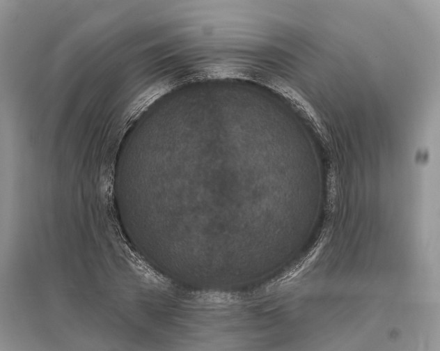 X0000096720785200802261653