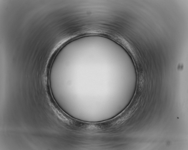 X0000096720787200802261653