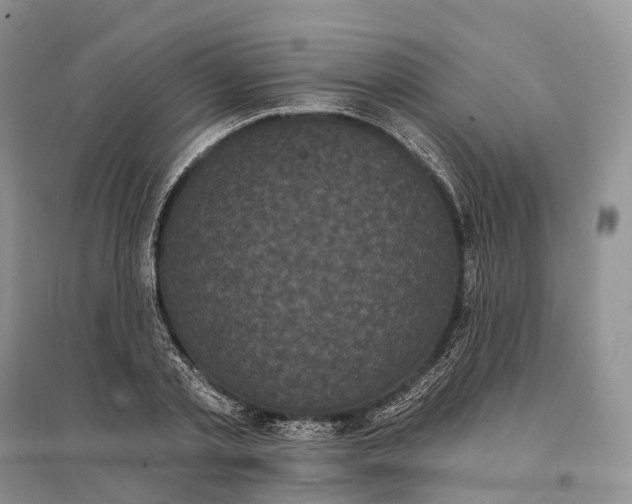 X0000096720789200802261652