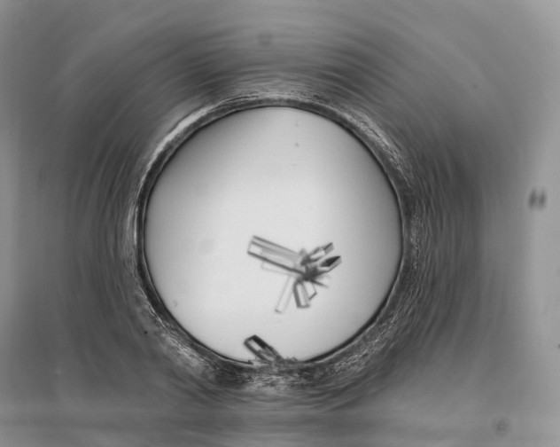 X0000096720790200802261652