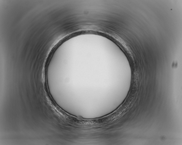 X0000096720791200802261652