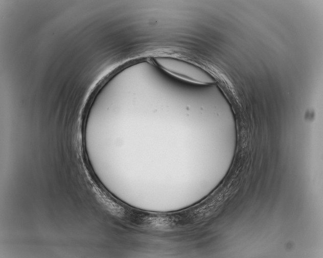 X0000096720792200802261652