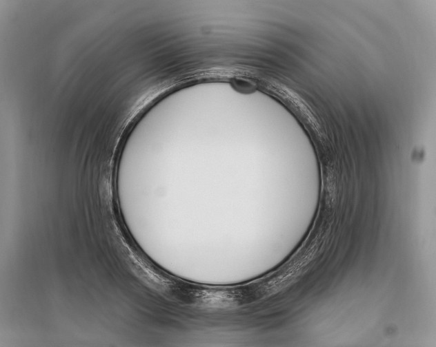 X0000096720794200802261652