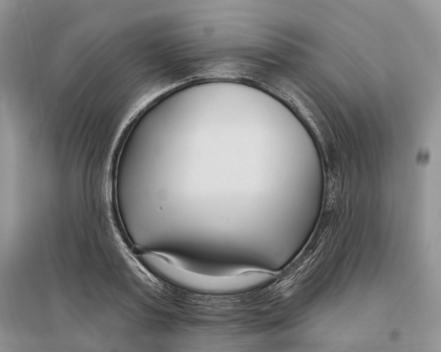 X0000096720795200802261652