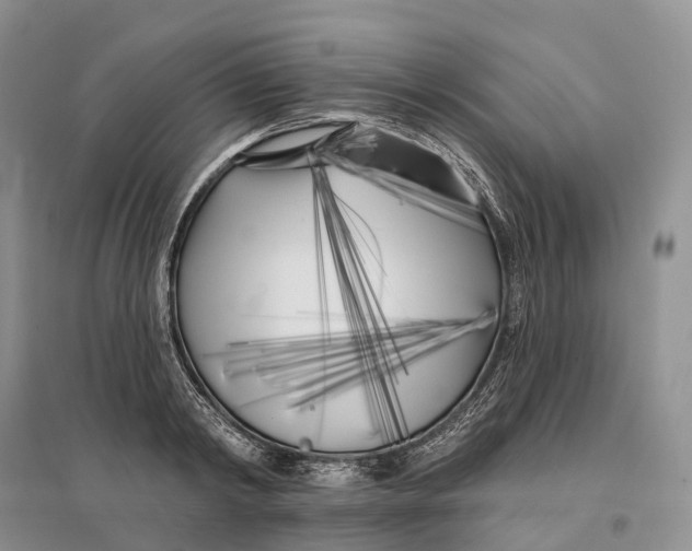 X0000096720798200802261652