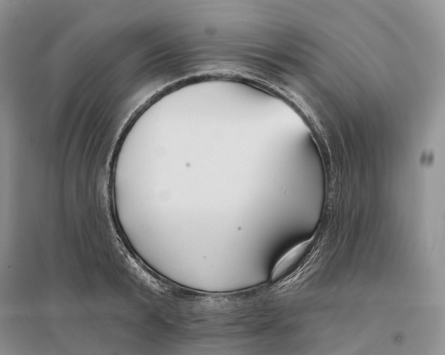 X0000096720799200802261652