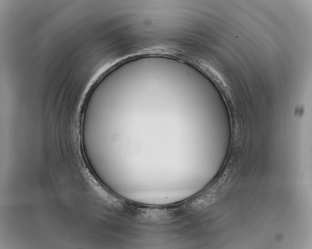 X0000096720800200802261652