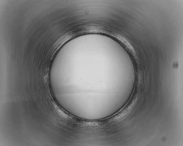 X0000096720801200802261652