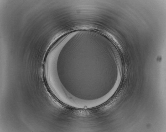 X0000096720802200802261652