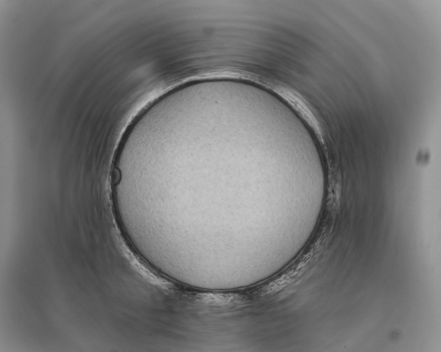 X0000096720805200802261652