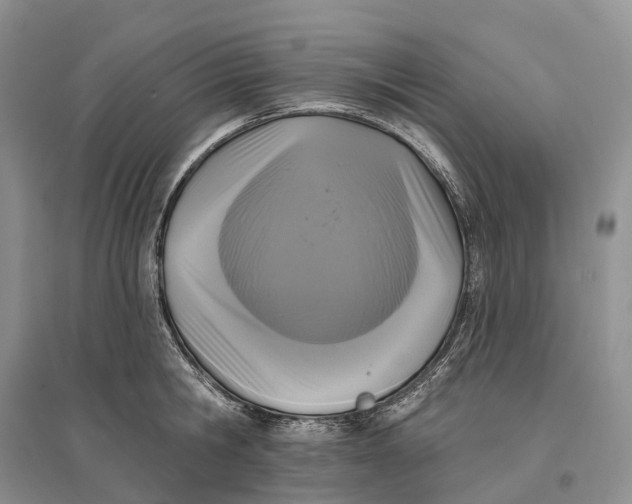 X0000096720806200802261652