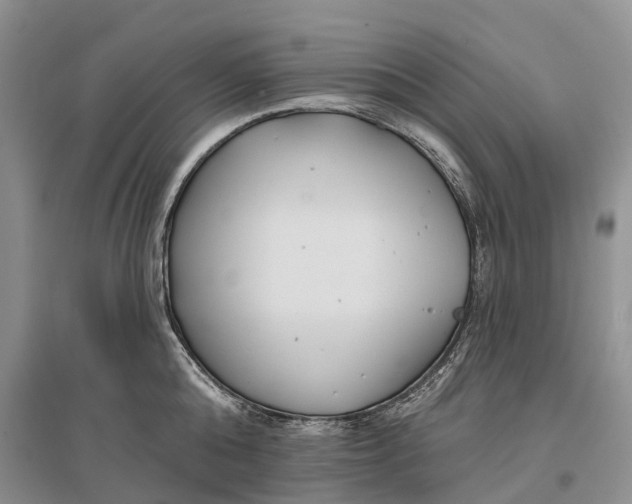 X0000096720808200802261652