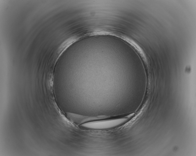 X0000096720809200802261652