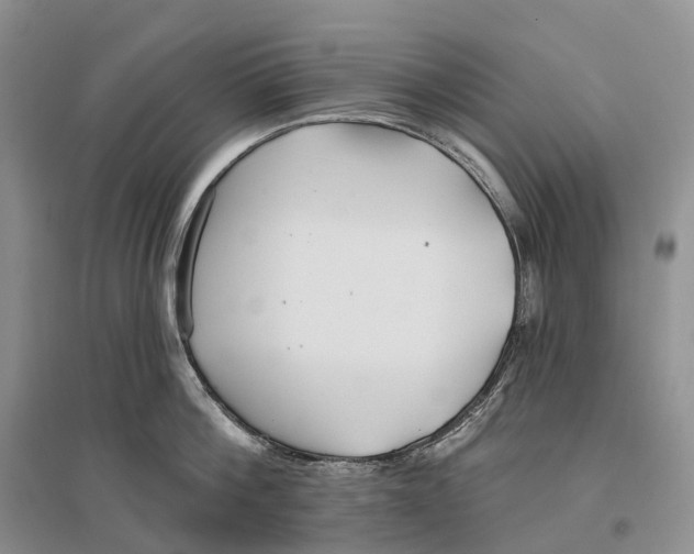 X0000096720812200802261652