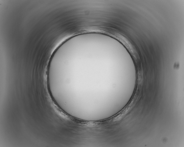 X0000096720814200802261652