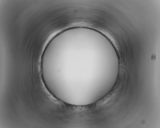 X0000096720815200802261652