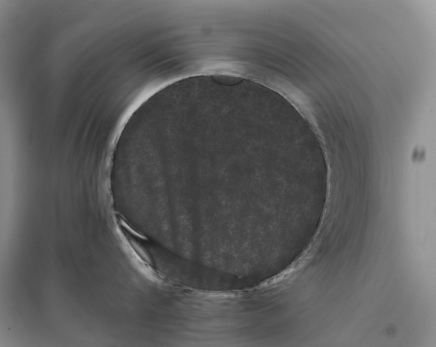 X0000096720816200802261652