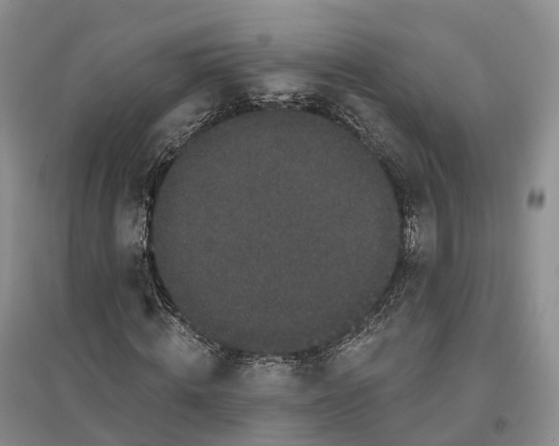 X0000096720820200802261651