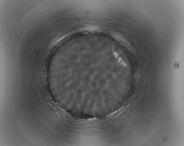 X0000096720822200802261651