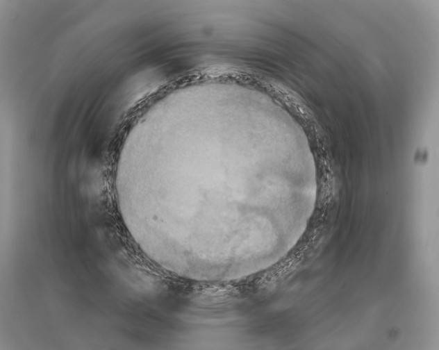 X0000096720824200802261651