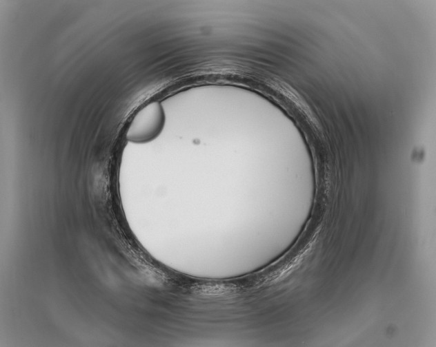 X0000096720826200802261651