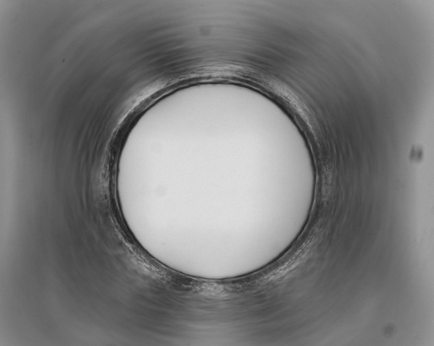 X0000096720827200802261651