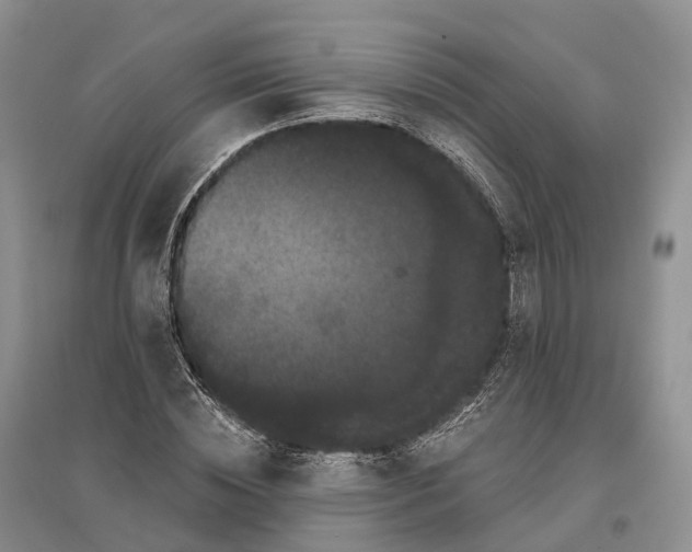 X0000096720828200802261651