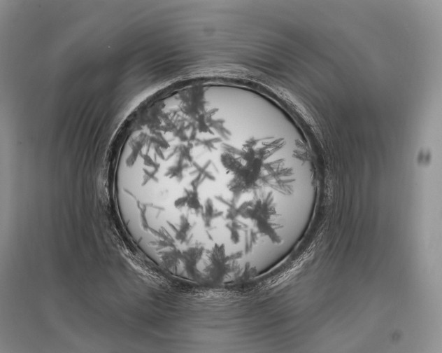 X0000096720830200802261651