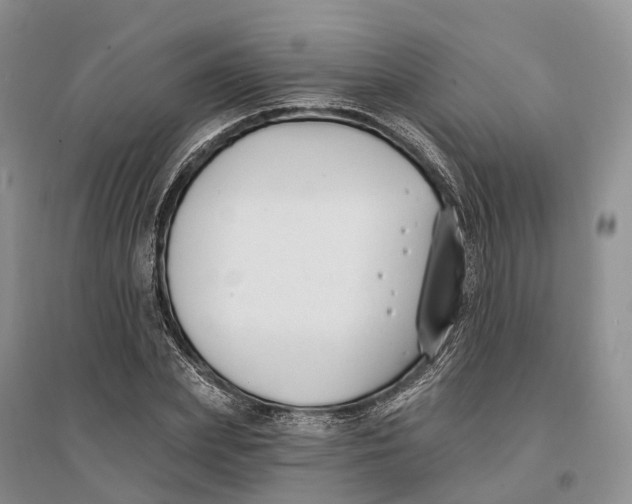 X0000096720831200802261651