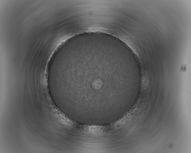 X0000096720832200802261651