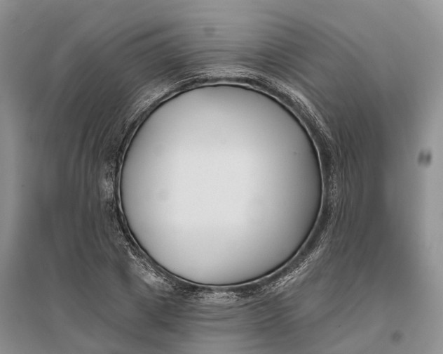 X0000096720833200802261651