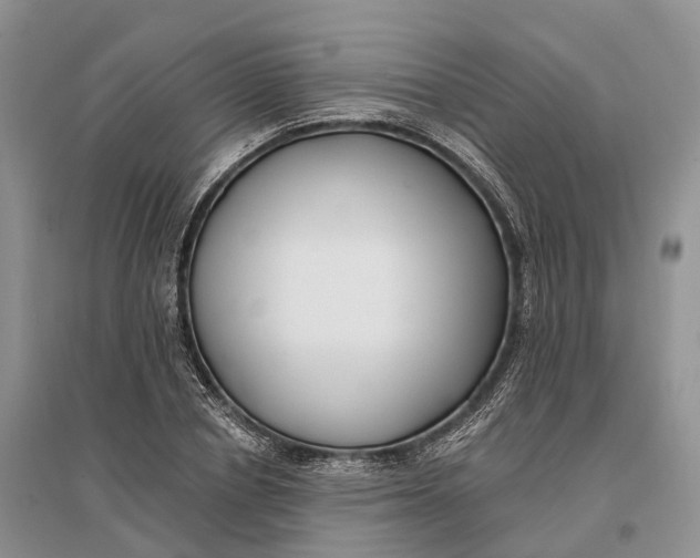 X0000096720834200802261651