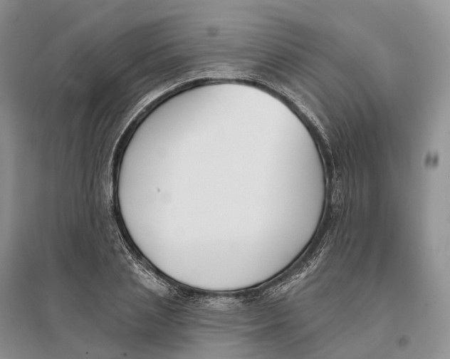 X0000096720837200802261652