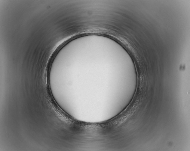 X0000096720838200802261652