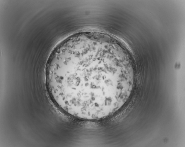 X0000096720839200802261652