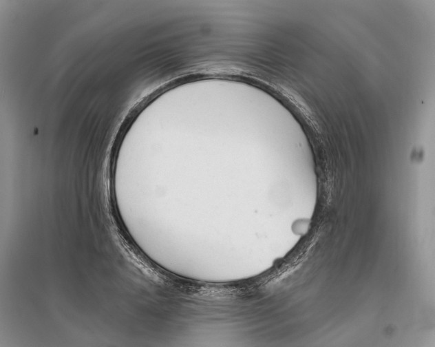 X0000096720840200802261652