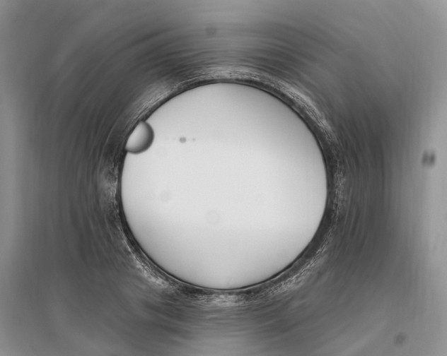 X0000096720841200802261652